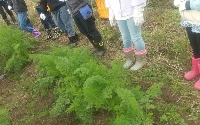 音楽｜知的能力障害（知的障害）,自閉スペクトラム症,注意欠如・多動症(ADHD),限局性学習症（学習障害）